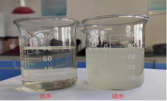 2023年示范工程|甘溝鄉(xiāng)白楊溝村糞污一體化處理能力提升建設試點項目